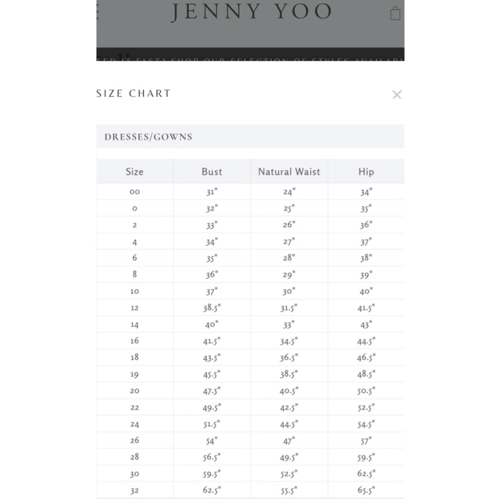 Jenny Yoo Mira Convertible Chiffon Gown - Picture 9 of 9